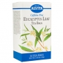 Eucalyptus Leaf Tea - 24 Tea Bags